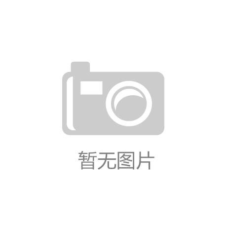 响应式中英双语建材展销网站模板