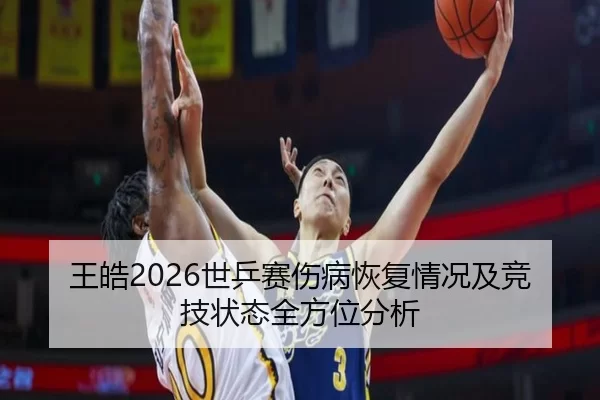 王皓2026世乒赛伤病恢复情况及竞技状态全方位分析