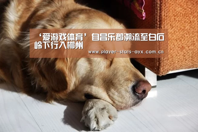 ‘爱游戏体育’自昌乐郡溯流至白石岭下行入郴州(图2) 爱游戏体育