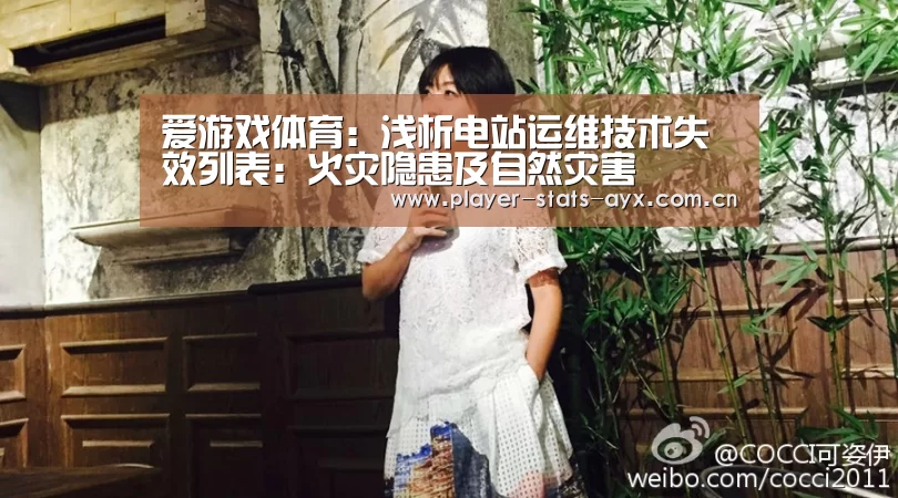 爱游戏体育:浅析电站运维技术失效列表:火灾隐患及自然灾害(图1) 爱游戏体育